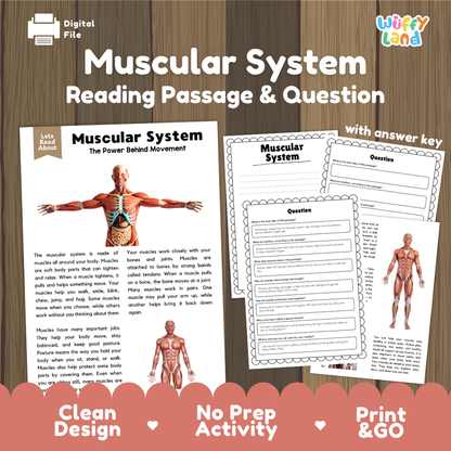 Muscular system reading comprehension passage and questions printable activity pack with answer key for elementary students