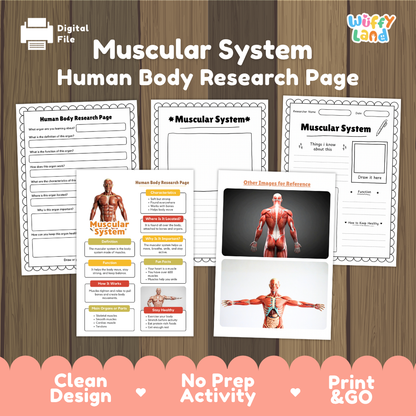Muscular System Human Body Research Page and Worksheets