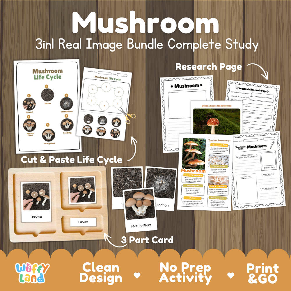 Mushroom 3in1 real image bundle complete study printable featuring life cycle cut and paste worksheets, Montessori 3-part cards, and research pages