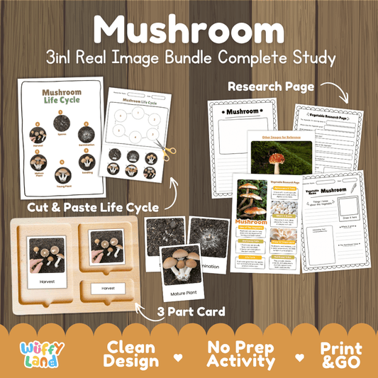 Mushroom 3in1 real image bundle complete study printable featuring life cycle cut and paste worksheets, Montessori 3-part cards, and research pages