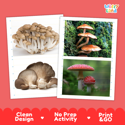 Printable activity sheets featuring photographic mushroom puzzle boards and cutting guides