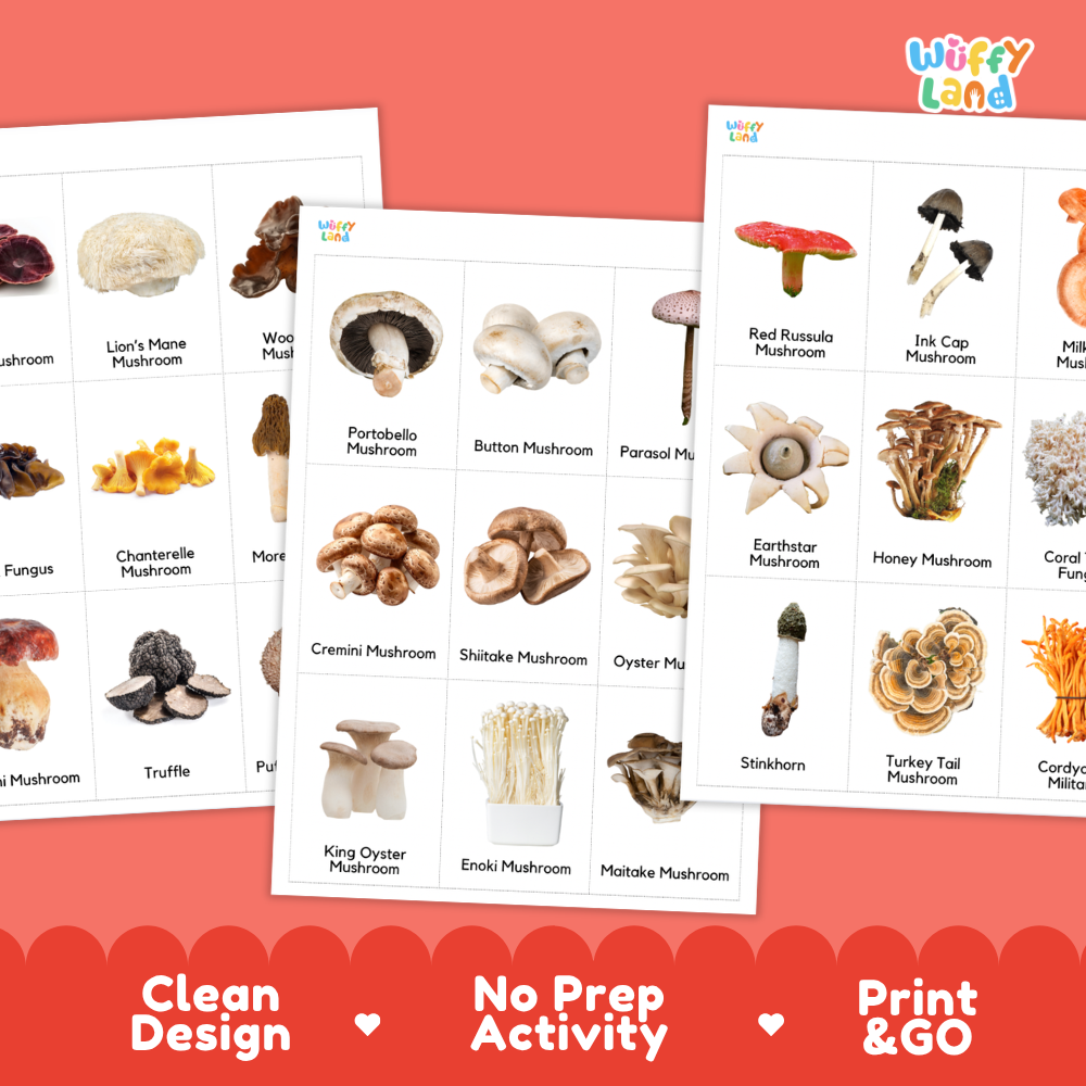 Mushroom Flashcards Printable Cards for Early Elementary