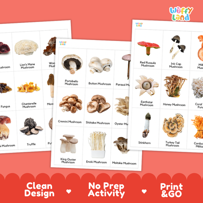 Mushroom Flashcards Printable Cards for Early Elementary