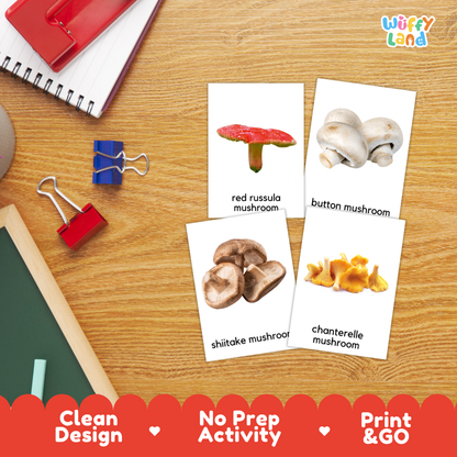 Mushroom Flashcards Printable Cards for Early Elementary