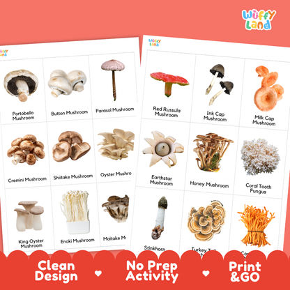 Two printed mushroom identification activity sheets displayed on a coral-red background. The sheets show labeled mushroom photos including Portobello Mushroom, Button Mushroom, Penisil Mushroom, Red Russula Mushroom, Ink Cap Mushroom, Milk Cap Mushroom, Cremini Mushroom, Shitake Mushroom, Oyster Mushroom, Earthstar Mushroom, Honey Mushroom, Coral Tooth Fungus, King Oyster Mushroom, Enoki Mushroom, Maitake M, Stinkhorn, Turkey Tail, and Turkey Tail.