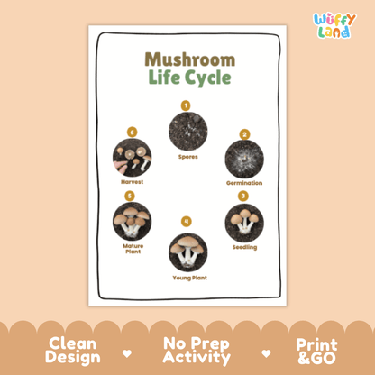 Mushroom Lifecycle Poster and Cut and Paste Activity Worksheets | Science Printables