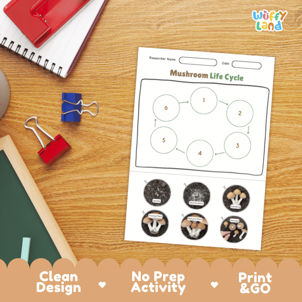 Mushroom Lifecycle Poster and Cut and Paste Activity Worksheets | Science Printables