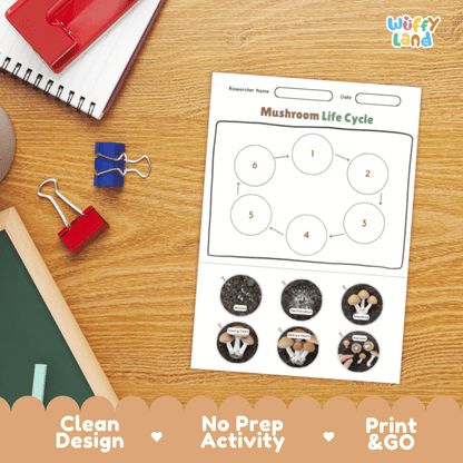 Mushroom Lifecycle Poster and Cut and Paste Activity Worksheets | Science Printables