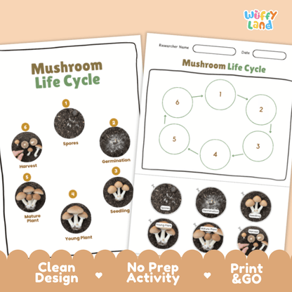 Mushroom Lifecycle Poster and Cut and Paste Activity Worksheets | Science Printables