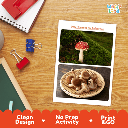 Mushroom Vegetable Research Page Worksheets and Fact Sheet