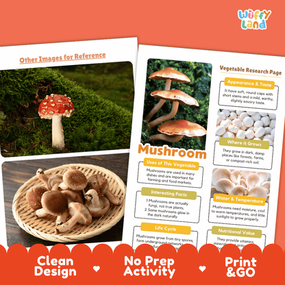 Mushroom Vegetable Research Page Worksheets and Fact Sheet