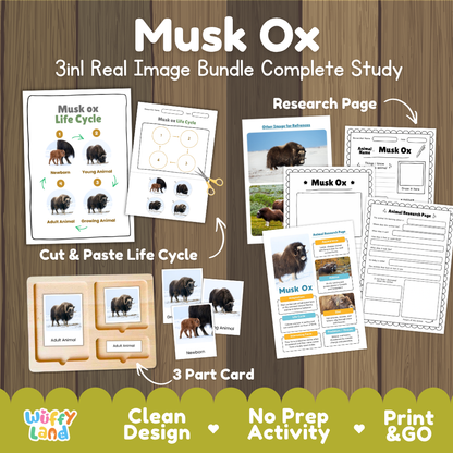 Musk Ox 3-in-1 real image bundle complete study cover showing cut and paste life cycle, 3 part cards, and research pages