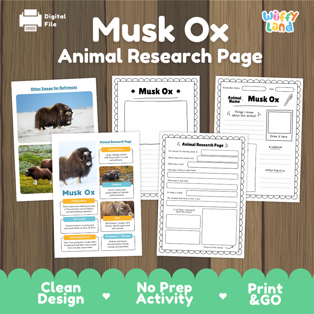 Musk Ox Animal Research Page Worksheets