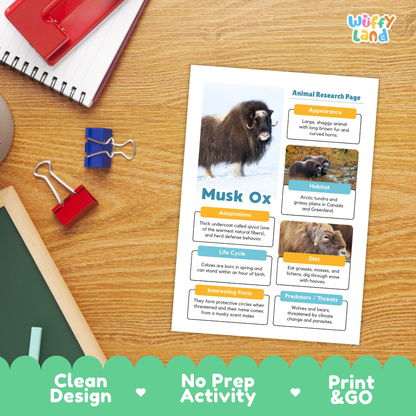Musk Ox Animal Research Page Worksheets