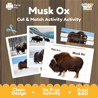 Musk Ox Cut and Match Puzzle Activity Worksheets