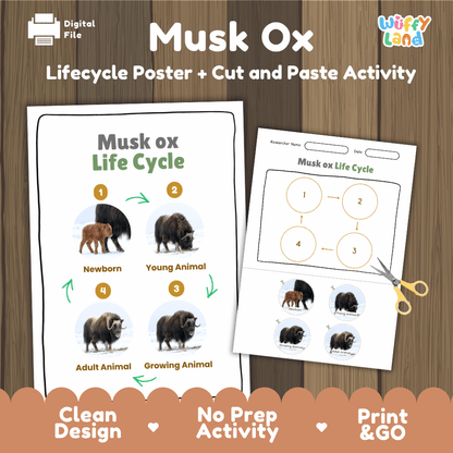 Musk Ox Life Cycle Poster and Cut and Paste Worksheet Activity