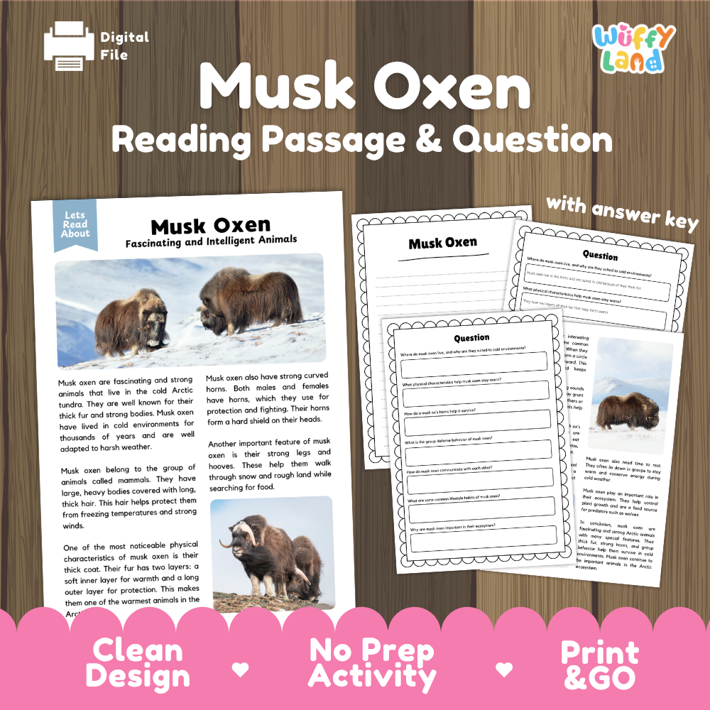 Digital reading activity bundle for 'Musk Oxen' featuring a reading passage, comprehension questions, and an answer key, displayed on a wood-grain background with a pink banner at the bottom.