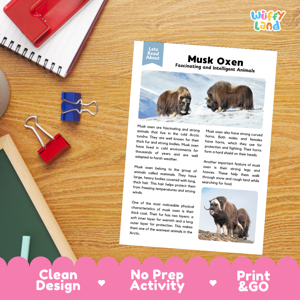 Musk Oxen Reading Passage and Questions Worksheets with Answer Key