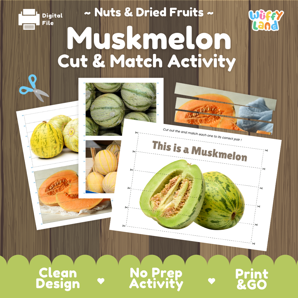 Muskmelon cut and match activity cover showing printable fine motor puzzle sheets and melon photographs
