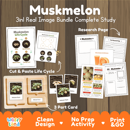 Muskmelon life cycle 3in1 real image bundle complete study overview featuring cut and paste worksheets, Montessori 3-part cards, and research pages from Wuffy Land 🍈🌱