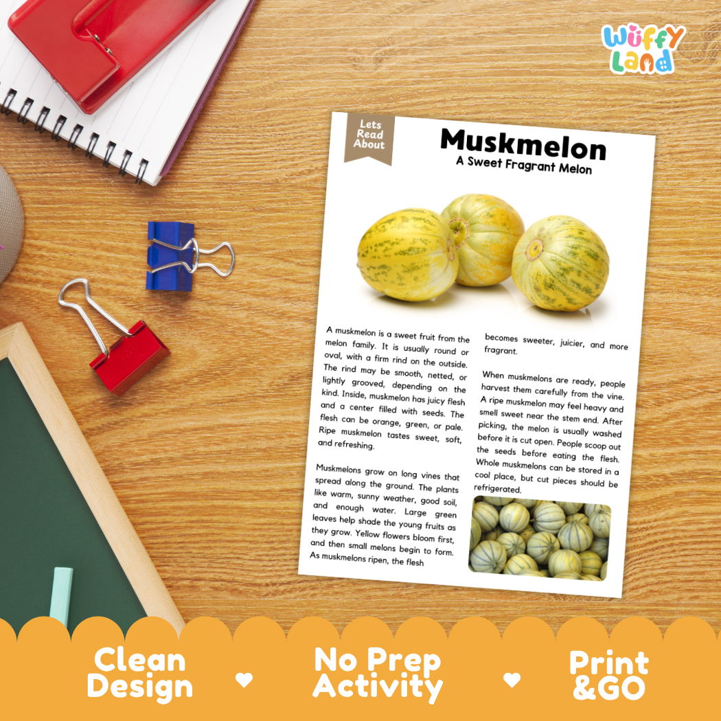 Student reading comprehension worksheet with short-answer questions and lined sections about the muskmelon fruit