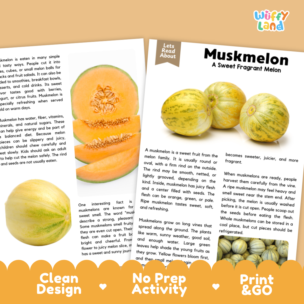 Teacher answer key page showing complete question solutions for Muskmelon nature and science reading comprehension practice