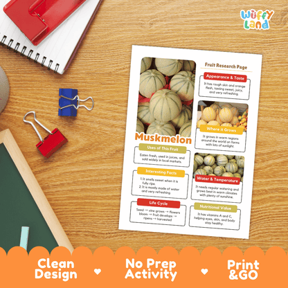 Muskmelon Fruit Research Page Worksheets and Fact Sheet