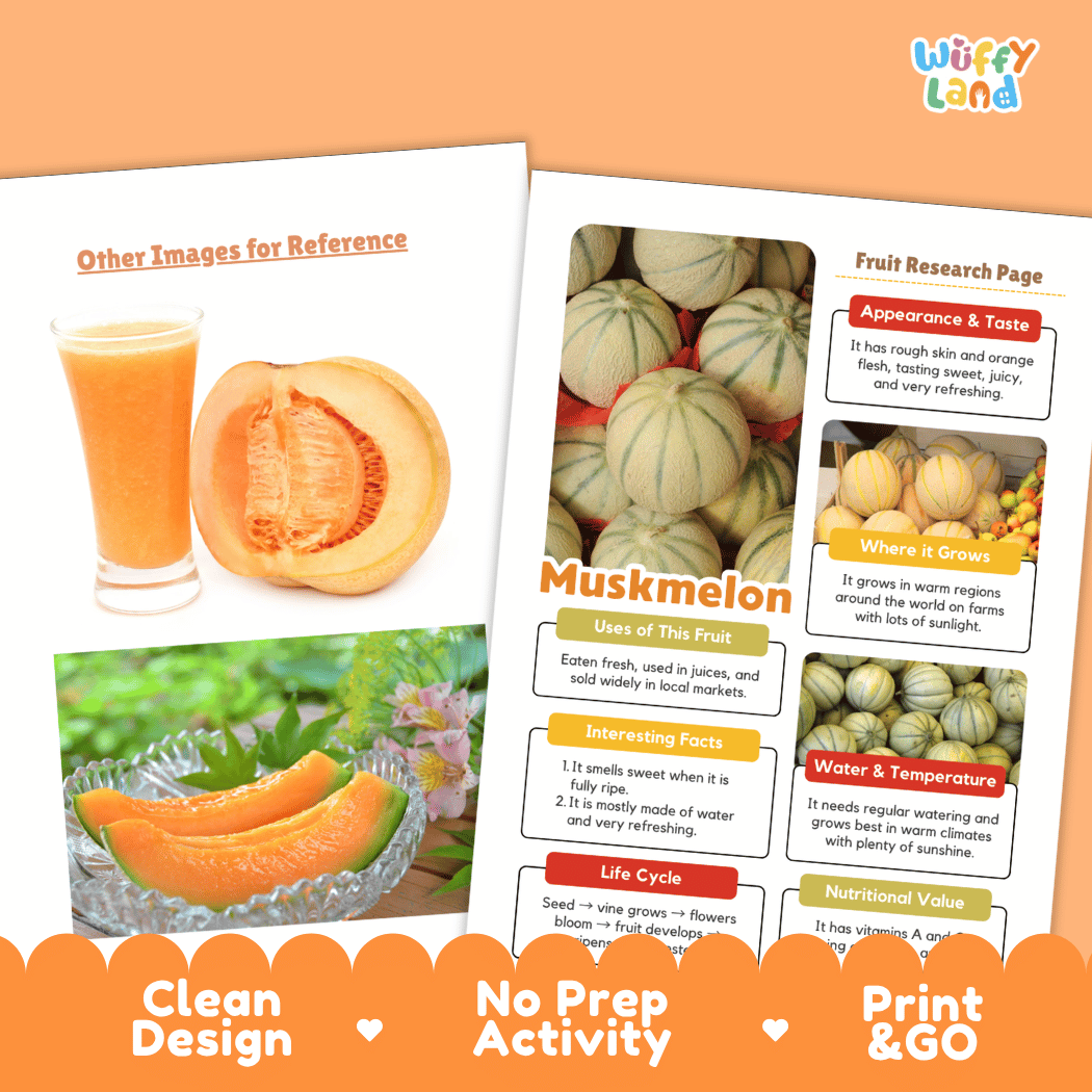 Muskmelon Fruit Research Page Worksheets and Fact Sheet