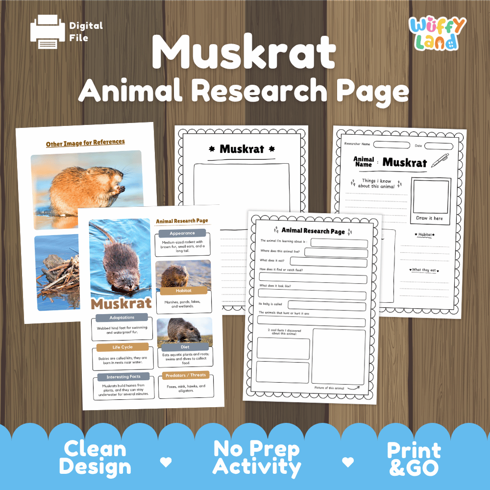 Muskrat Animal Research Page Worksheets