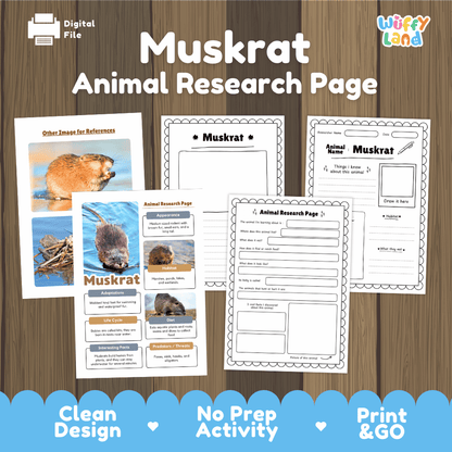 Muskrat Animal Research Page Worksheets