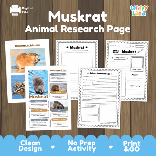 Muskrat Animal Research Page Worksheets