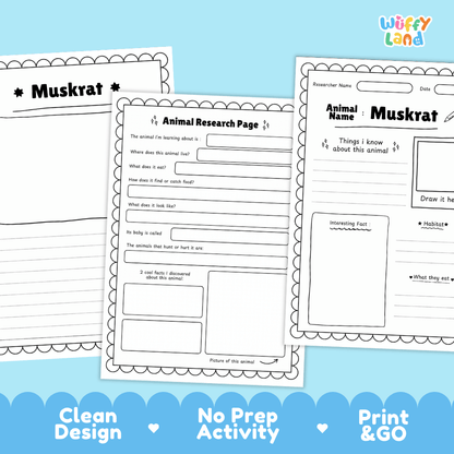 Muskrat Animal Research Page Worksheets