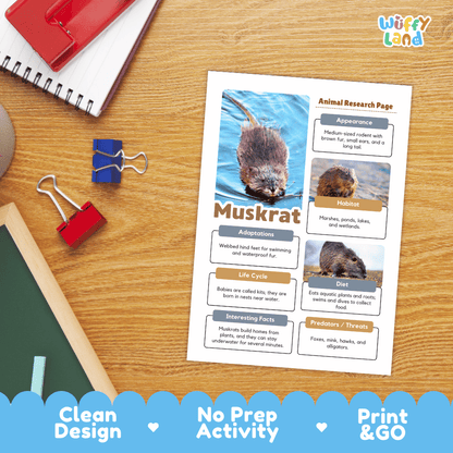 Muskrat Animal Research Page Worksheets