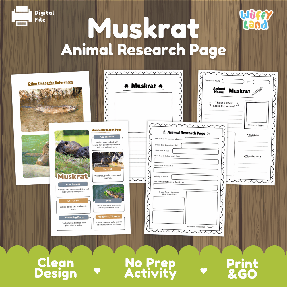 Muskrat Animal Research Page Worksheets and Fact Sheet Activity