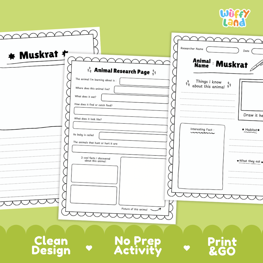 Muskrat Animal Research Page Worksheets and Fact Sheet Activity