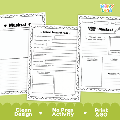 Muskrat Animal Research Page Worksheets and Fact Sheet Activity