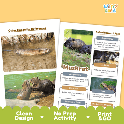 Muskrat Animal Research Page Worksheets and Fact Sheet Activity