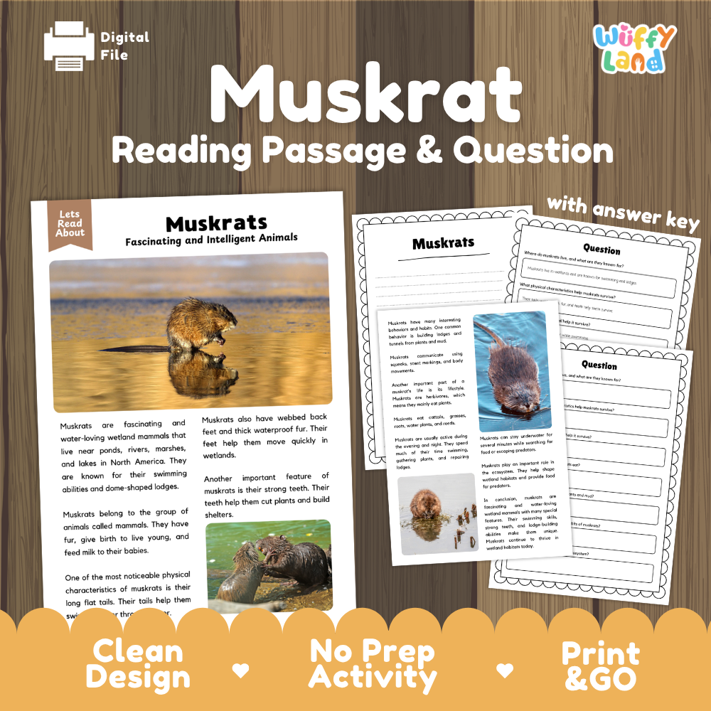 Digital product preview for a 'Muskrat Reading Passage & Question' activity by Wiffly Land, shown on a wood-grain background with sample pages of the reading passage and worksheet questions.