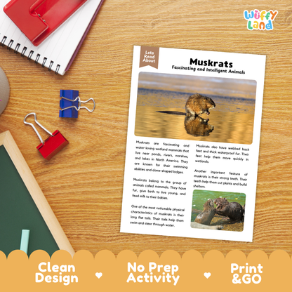An educational activity sheet about muskrats laid flat on a wooden desk, surrounded by school supplies like a spiral notebook, binder clips, and a pencil. The sheet has a clean design, a title, and text with photos of muskrats.