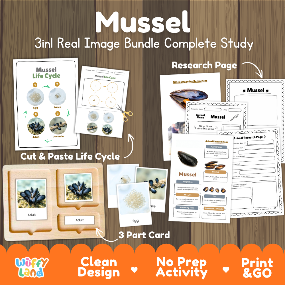 Mussel 3-in-1 real image bundle complete study cover showing cut and paste life cycle, 3 part cards, and research pages