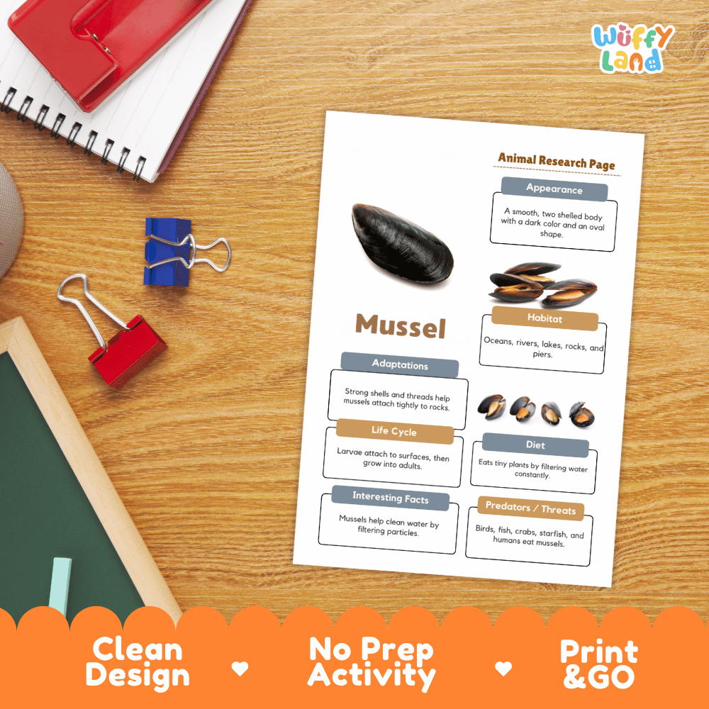 Mussel Animal Research Page Worksheets and Fact Sheet Activity