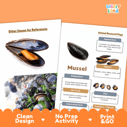 Mussel Animal Research Page Worksheets and Fact Sheet Activity