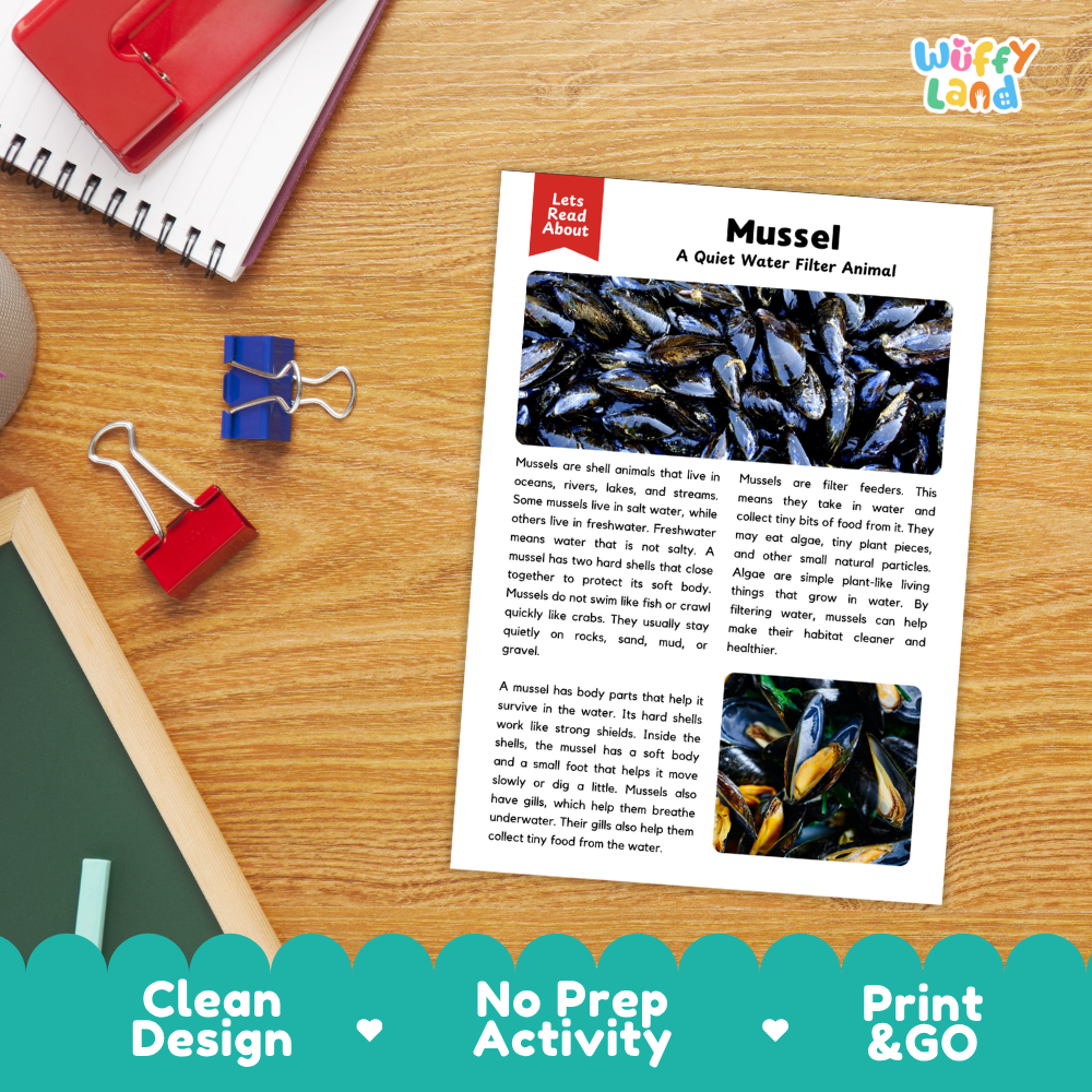 An educational printout activity sheet titled 'Lets Read About Mussel' displayed on a wooden desk with a red notebook, blue binder clips, and a pencil. The sheet features text and photos of mussels.