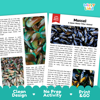 A printed educational poster or booklet page about Mussel, shown as a clean product-style layout with two inset animal photos, descriptive text, and decorative teal banners reading 'Clean Design' and 'No Prep Activity' on a white background.