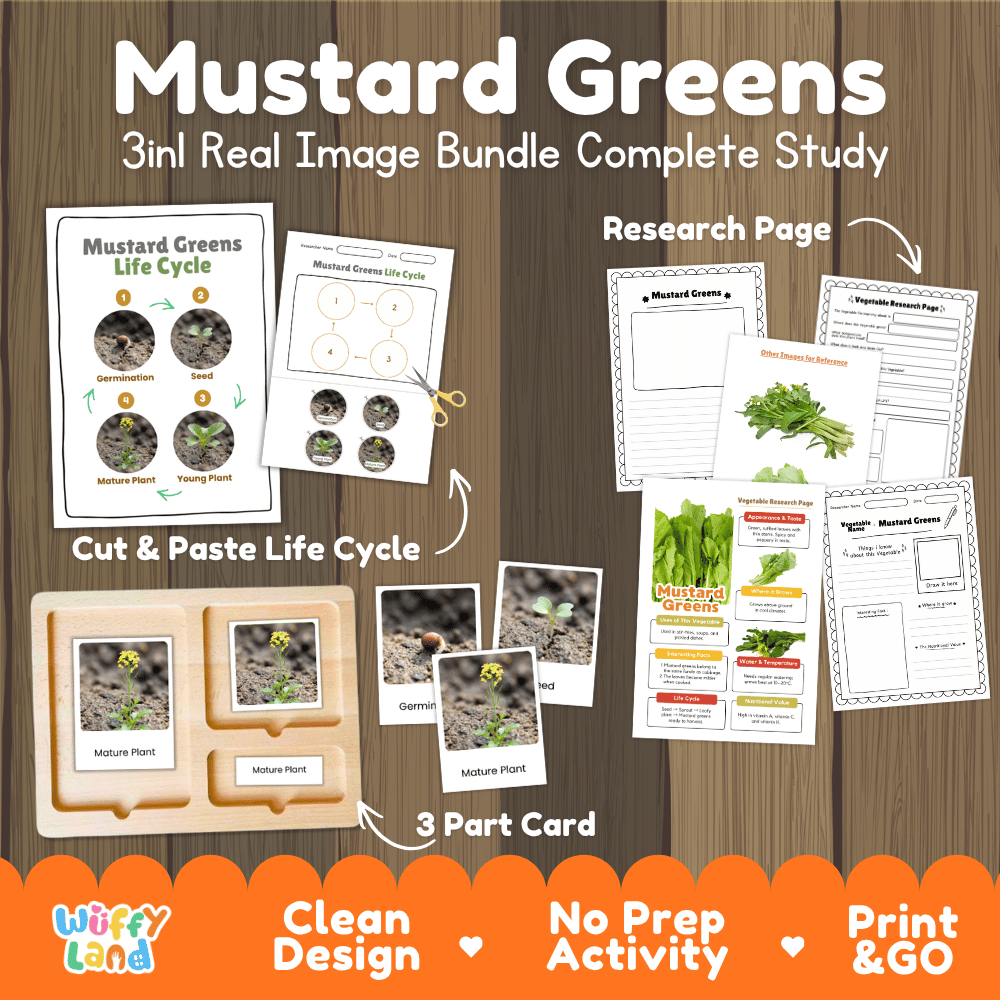 Mustard greens 3in1 real image bundle complete study printable featuring life cycle cut and paste worksheets, Montessori 3-part cards, and research pages