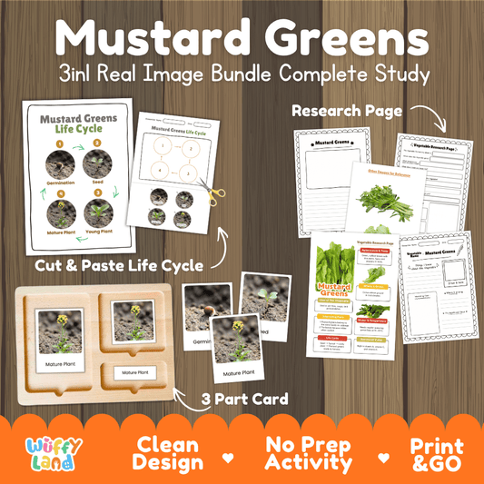 Mustard greens 3in1 real image bundle complete study printable featuring life cycle cut and paste worksheets, Montessori 3-part cards, and research pages