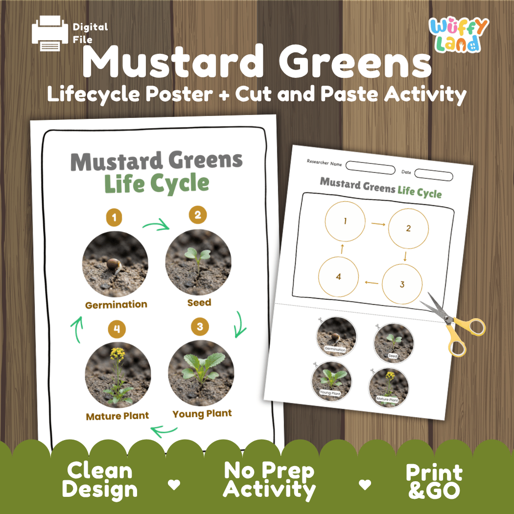 Mustard greens plant life cycle educational printable pack cover showing visual reference poster and cut and paste sequencing worksheet with real photography