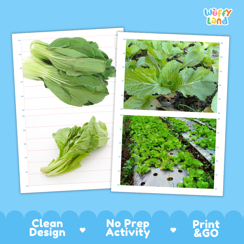 Printable activity sheets featuring photographic mustard greens puzzle boards and cutting guides