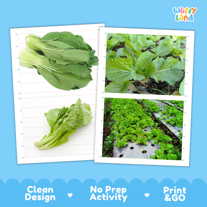 Printable activity sheets featuring photographic mustard greens puzzle boards and cutting guides