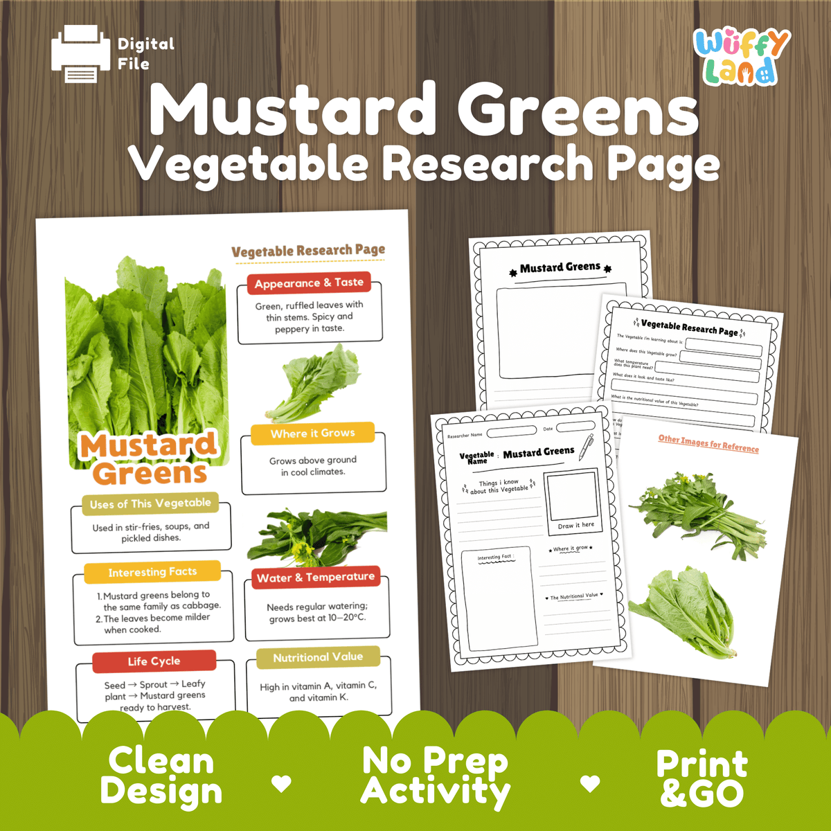 Student vegetable research page writing worksheets with real fresh mustard greens bunch photos, lined note-taking prompts, and drawing frames